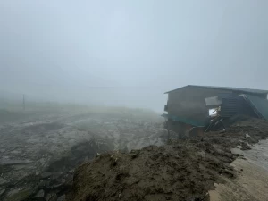 Chuyến ngắm Tây Bắc mùa lúa chín dang dở của khách miền Nam